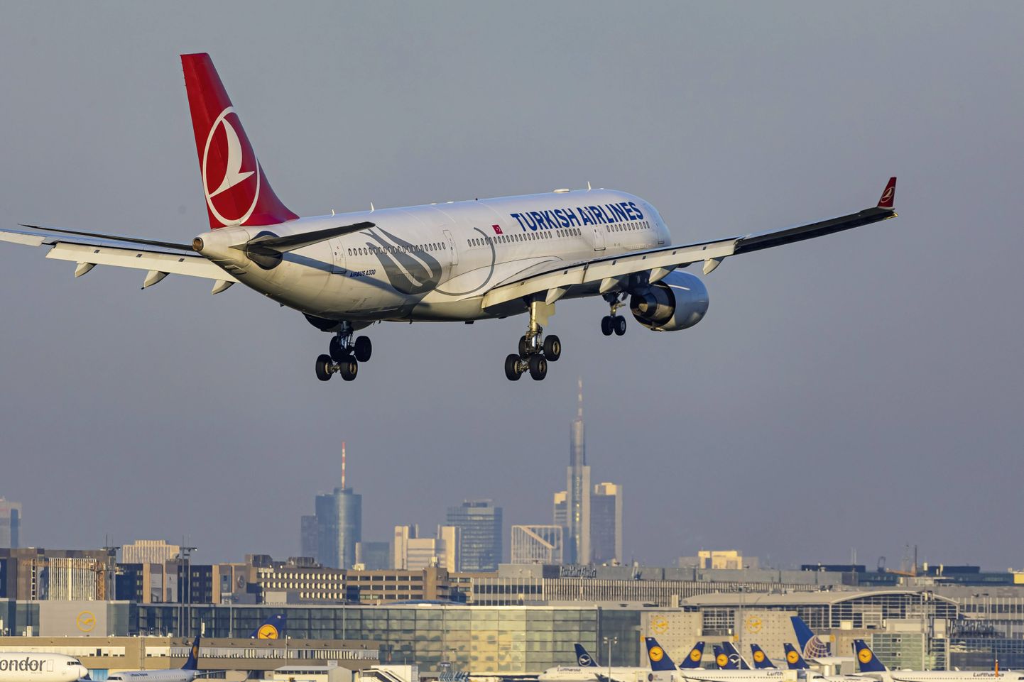 Самолет Turkish Airlines.