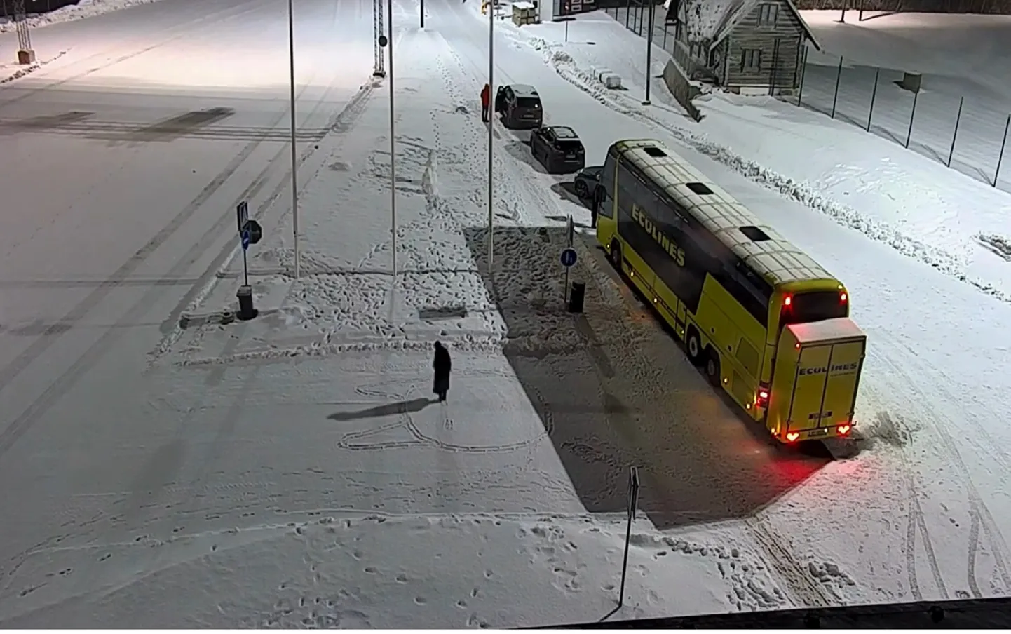 Luhamaa piiripunktis jäi kaamerapilti reisija loomepuhang.