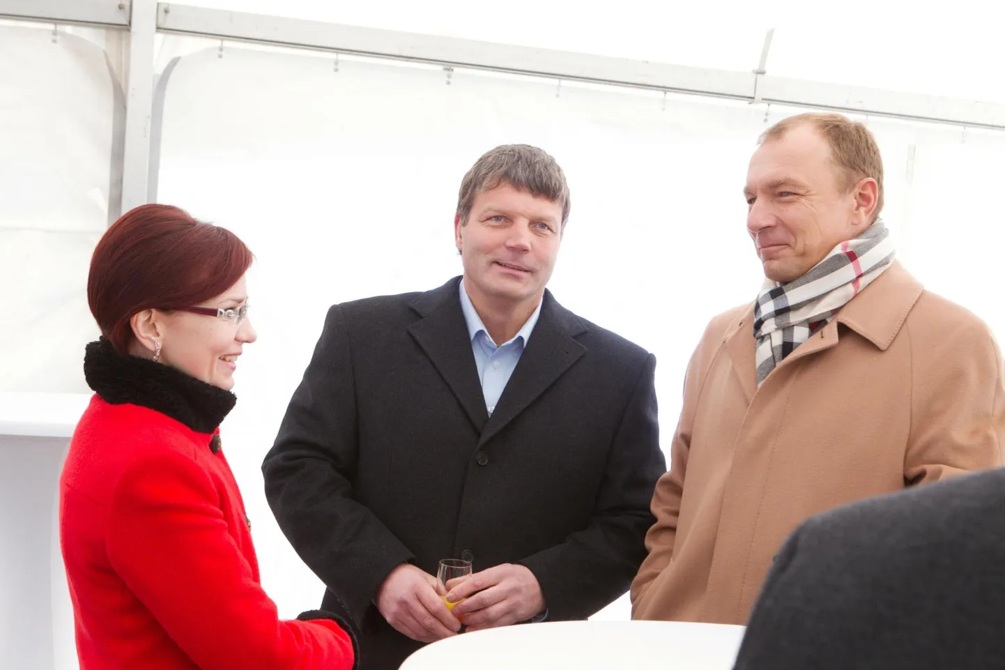 Arhiivifoto aastast 2012. Viru Keemia Grupi suurim osanik Priit Piilmann (keskel) seletab koos toonase juhatuse liikme Jaanus Purgaga keskkonnaminister Keit Pentus-Rosimannusele, kuidas töötab põlevkivikonveier.