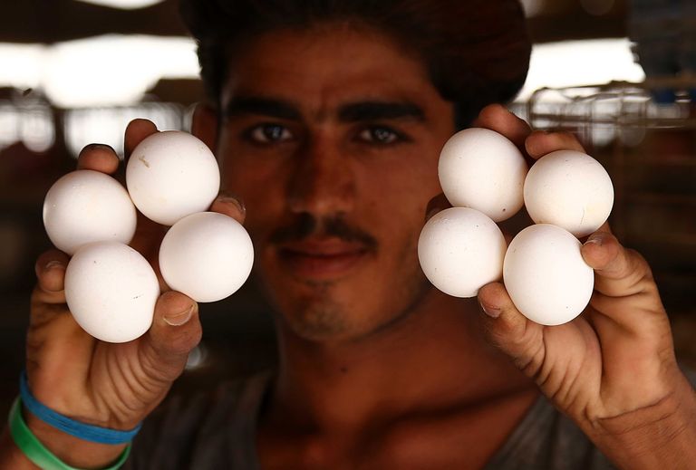 Illustratiivne foto Pakistani munakaupmehest.