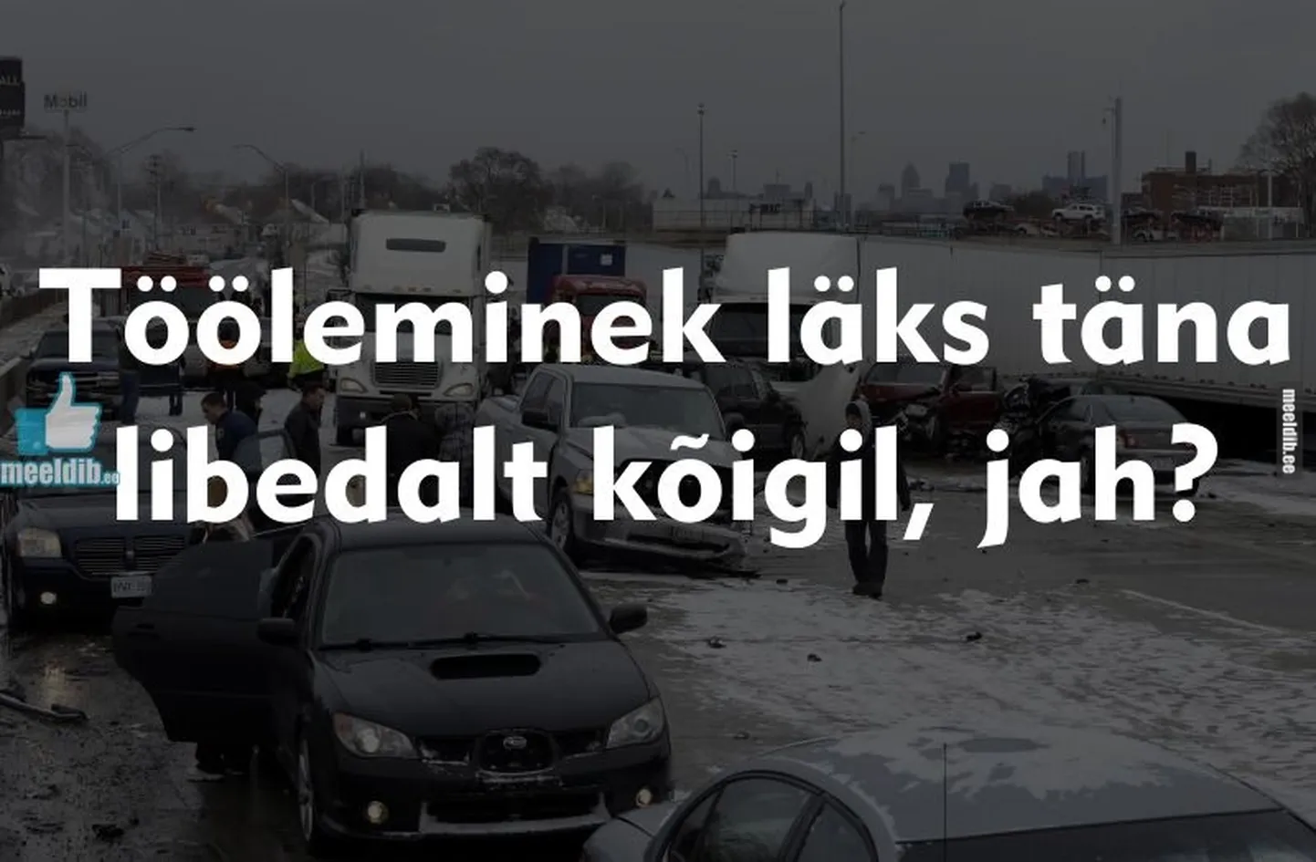 Artikli foto