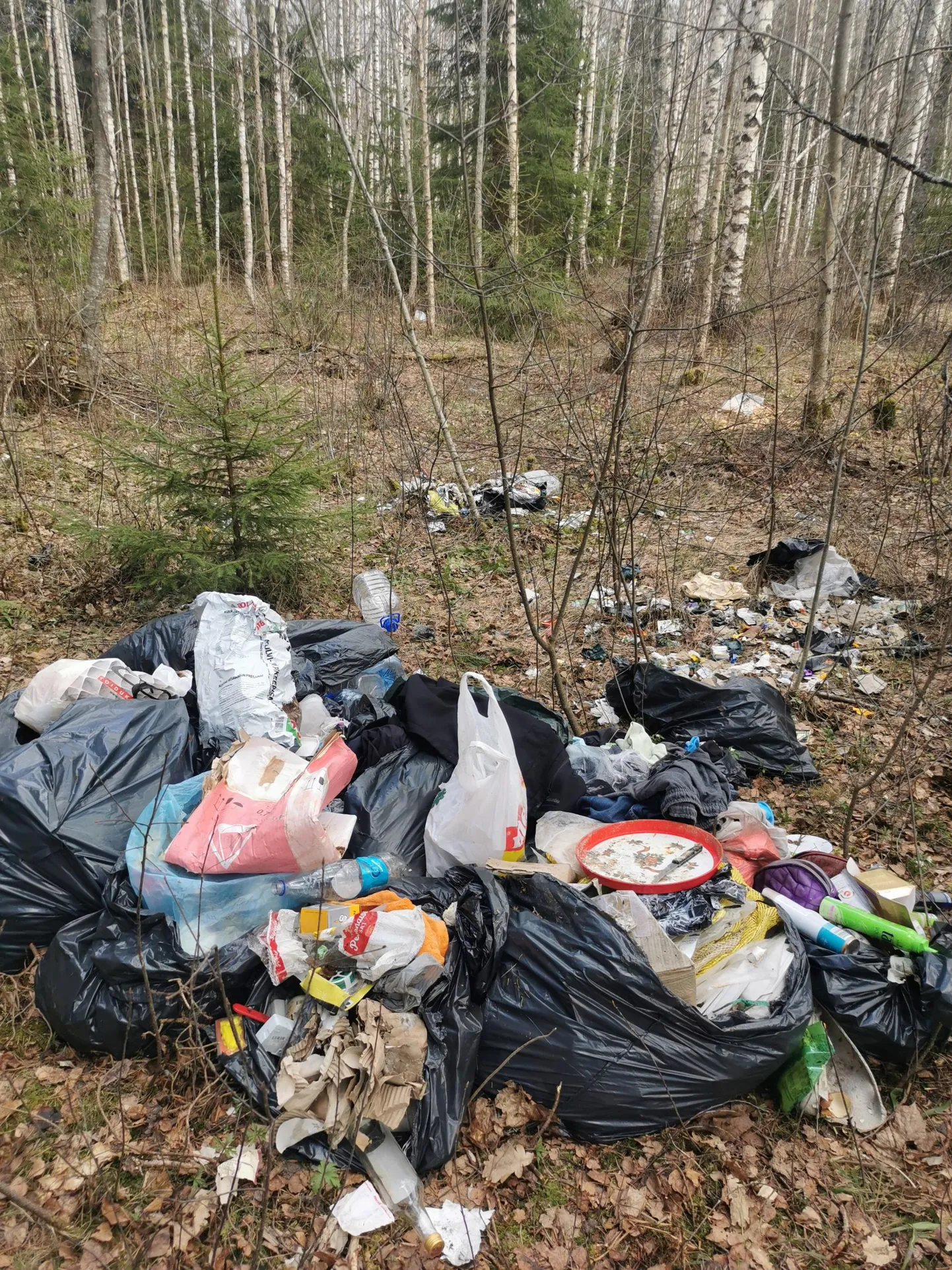 Kena veekogu ääres avanes hiljaaegu selline trööstitu vaatepilt.