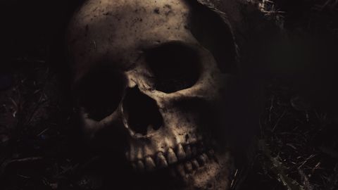 Iidsete inimeste kannibalismi kohta selgus midagi ootamatut