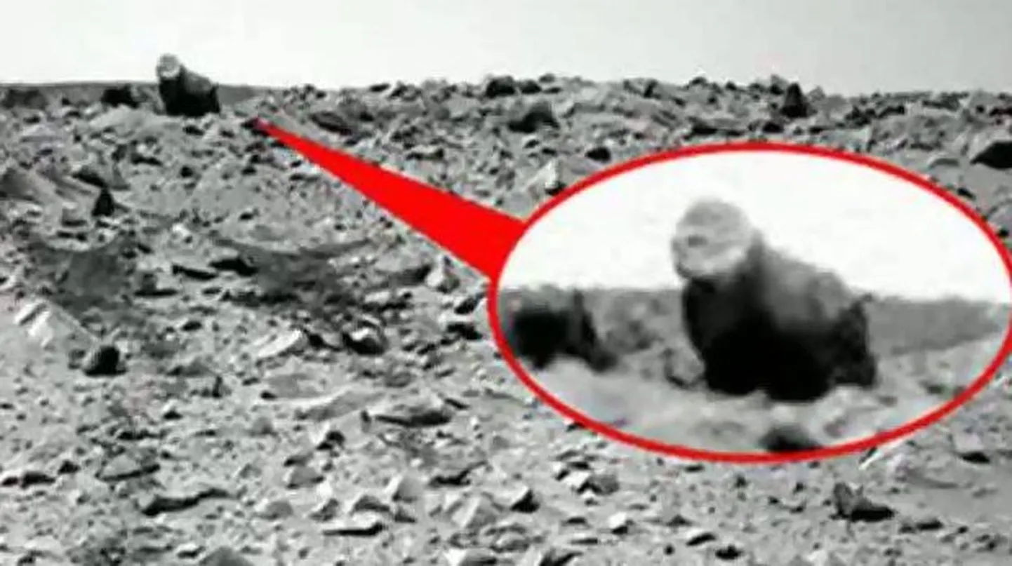 Artikli foto