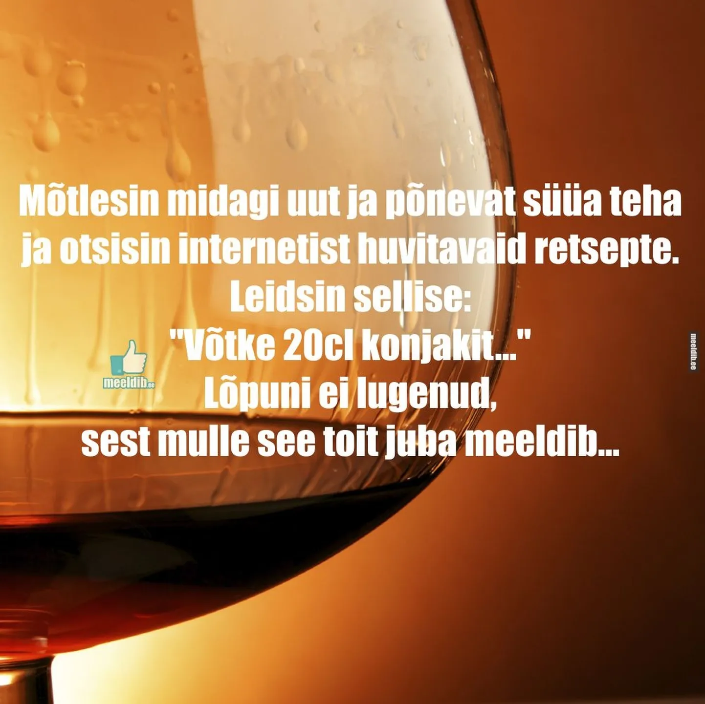 Artikli foto