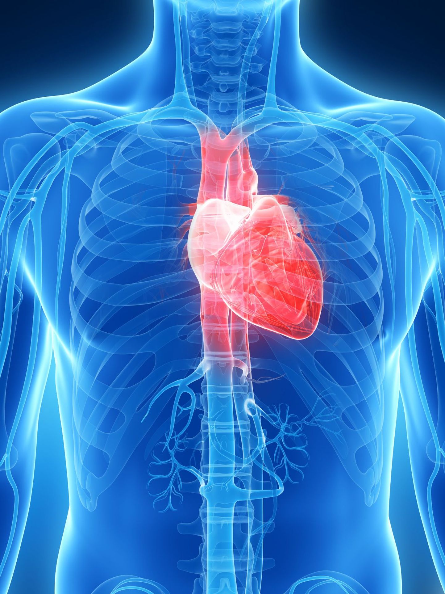 В ходе эксперимента ученые установили, какой уровень физической активности нужен для здорового сердца.