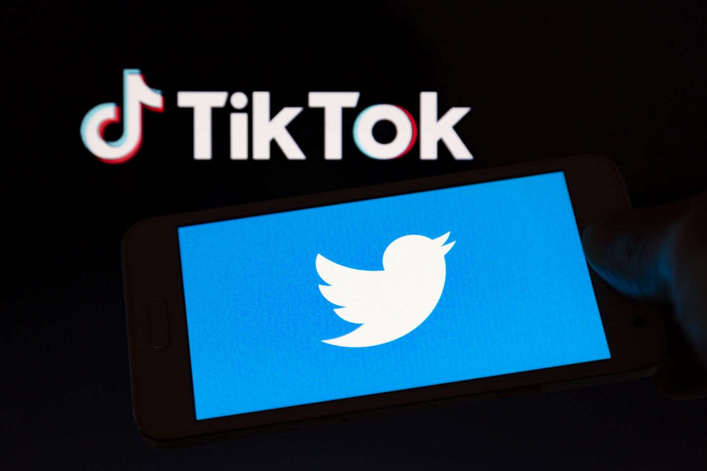 TikToki ja Twitteri logod.