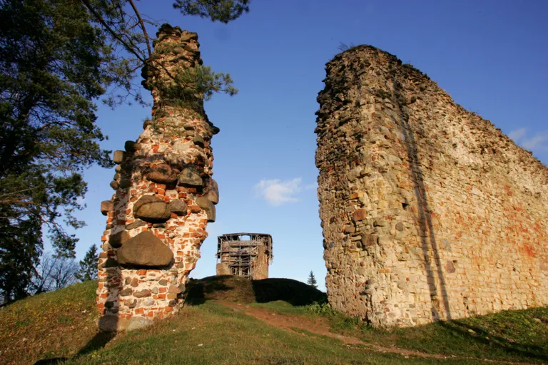 VASTSELIINA LINNUS