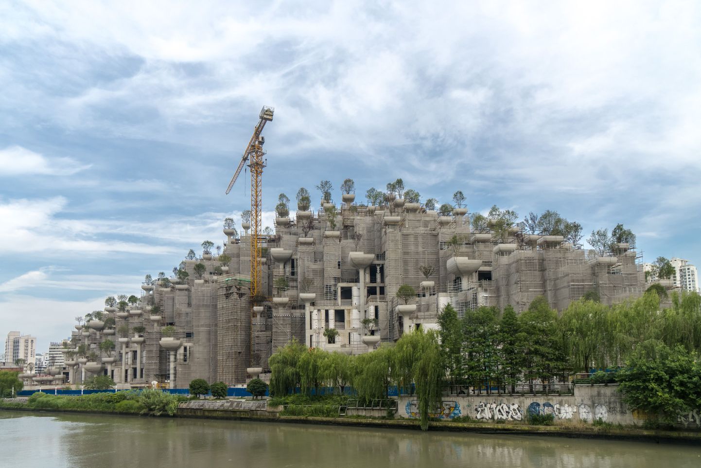 Shangais pooleliolev projekt «1000 Puud»