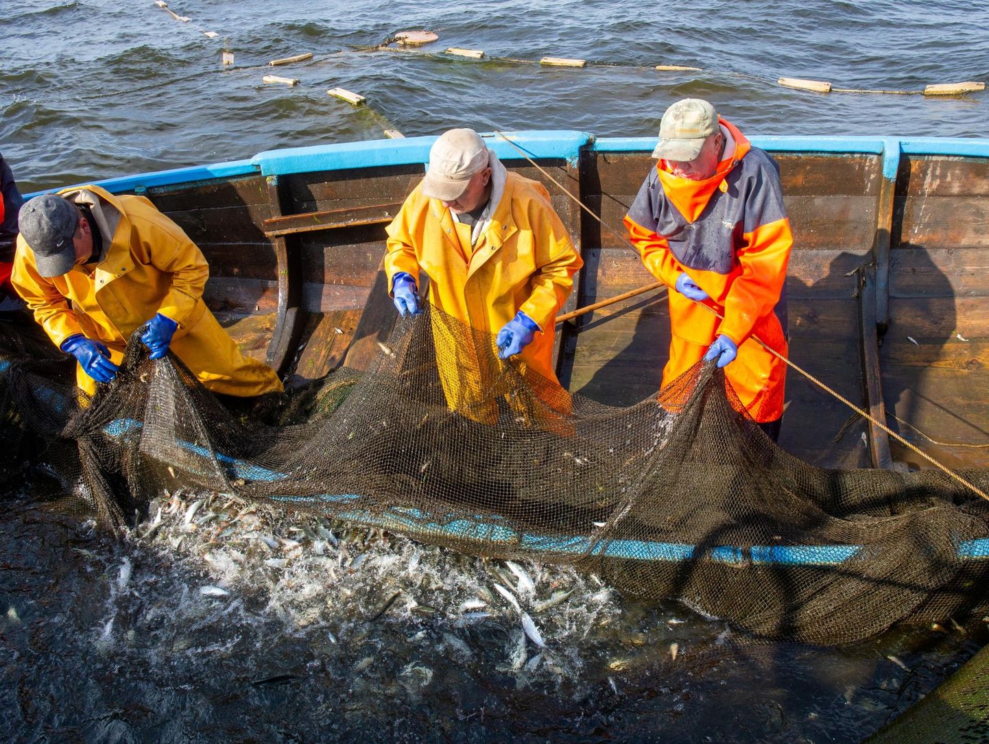 Peipsi kalurite mõrrad olid sel suvel rääbist täis, kuid järgmistel aastatel ähvardavad lubatud püügikogused järjest kahaneda.