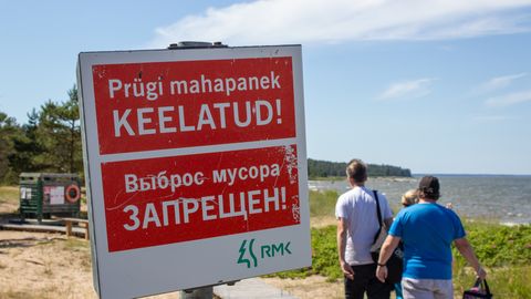 ÜHEKSA RANDA LUUBI ALL ⟩ Kalvi murdis puhaste randade mustri