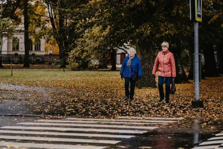 Kui autojuht ülekäiguraja ees peatub, on paslik teda tervitada.