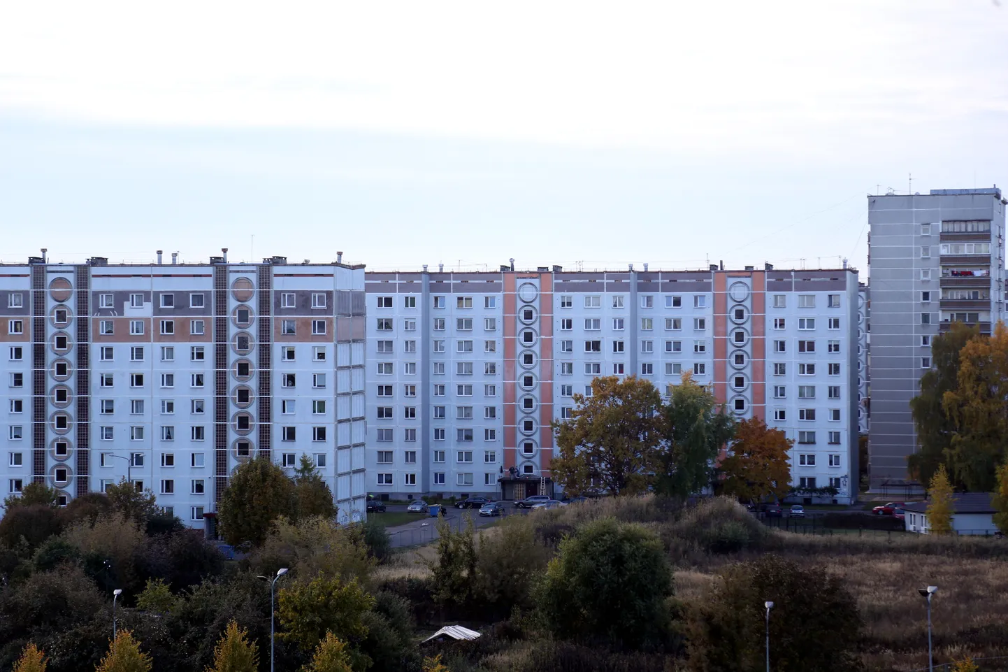 Raksta foto