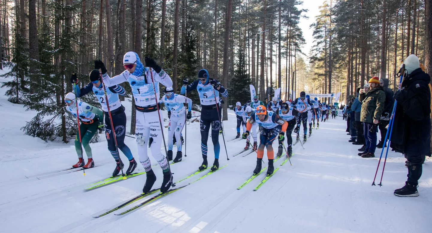 Alutaguse suusamaratoni 2024 põhidistantsi start.