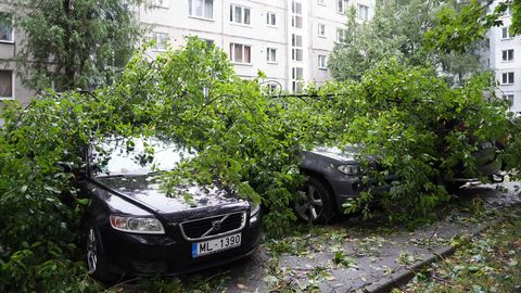 Leedus on tormi järel endiselt elektrita umbes 74 000 ja Lätis 11 000 klienti
