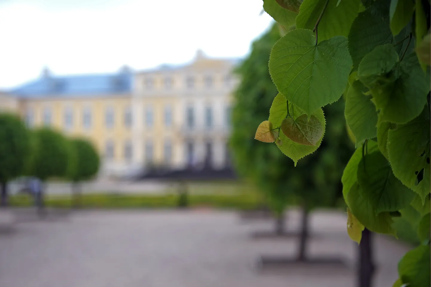 Фото статьи