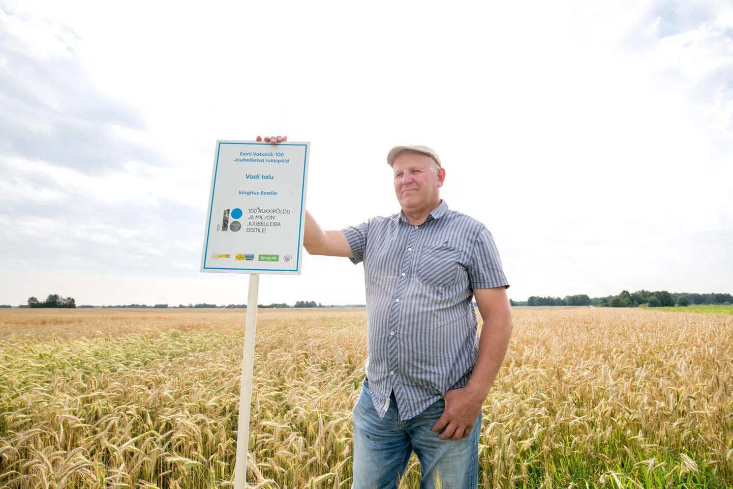 Koigi vallas Huuksi külas kasvatab Vadi talu peremees Allan Paal rukist kingitusena kodumaa 100. sünnipäevaks, lõikuseks läheb järgmisel nädalal.