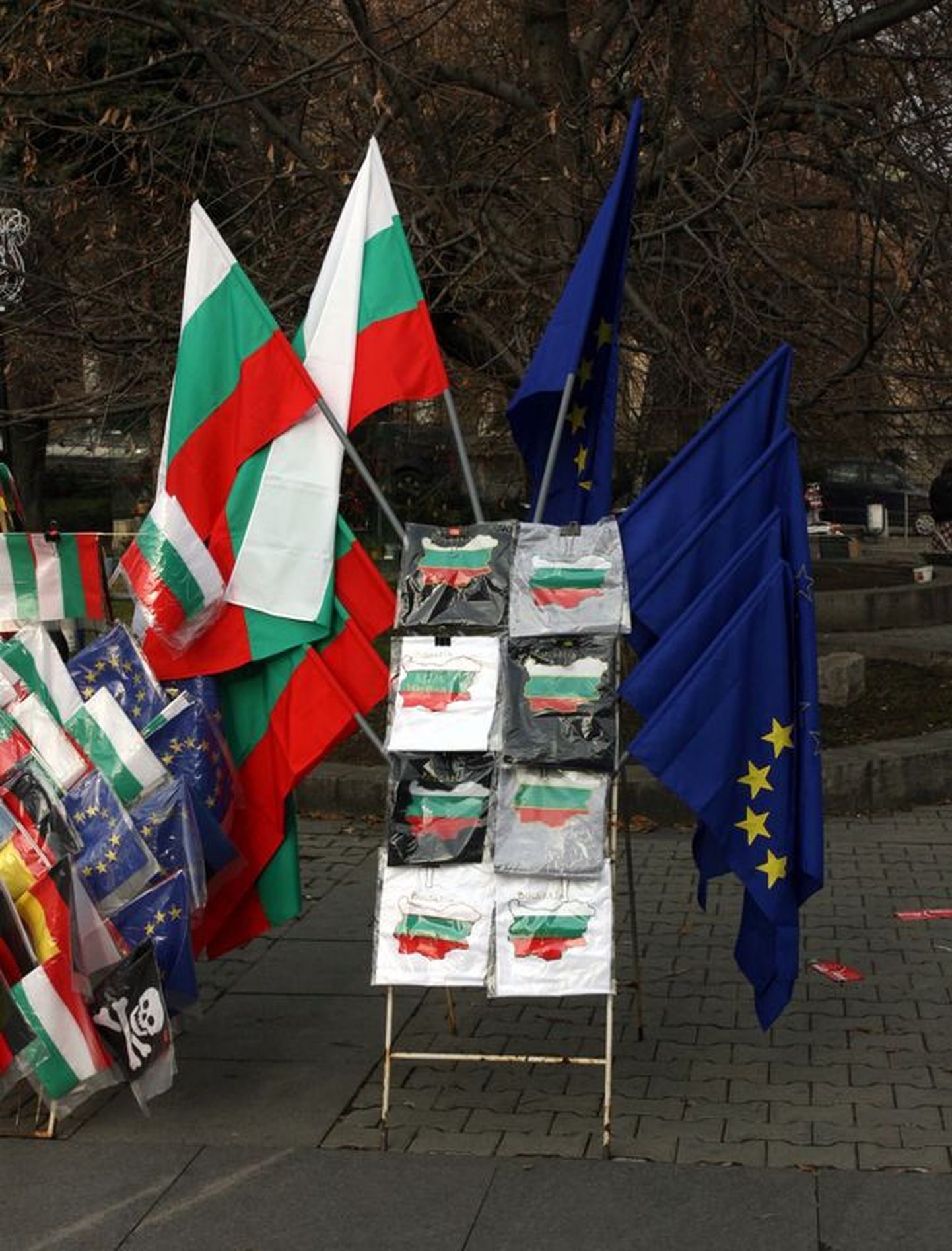 Pildil on Bulgaaria lipud..