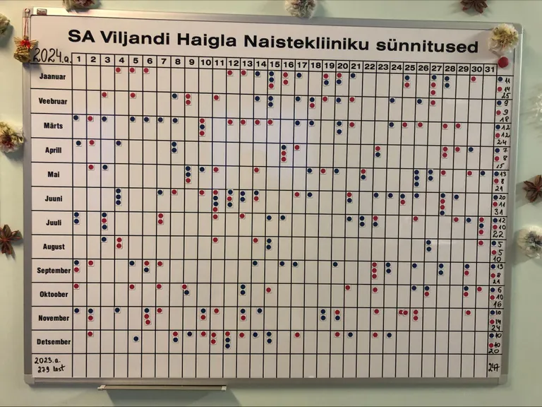 Viljandi haiglas sündis mullu 32 last vähem kui 2023. aastal. Ilmale tuli 128 poissi (sinised täpid) ja 119 tüdrukut (punased). Seda ohtu, et sünnitusosakond sulgema hakatakse, vähemalt praegu ei ole.