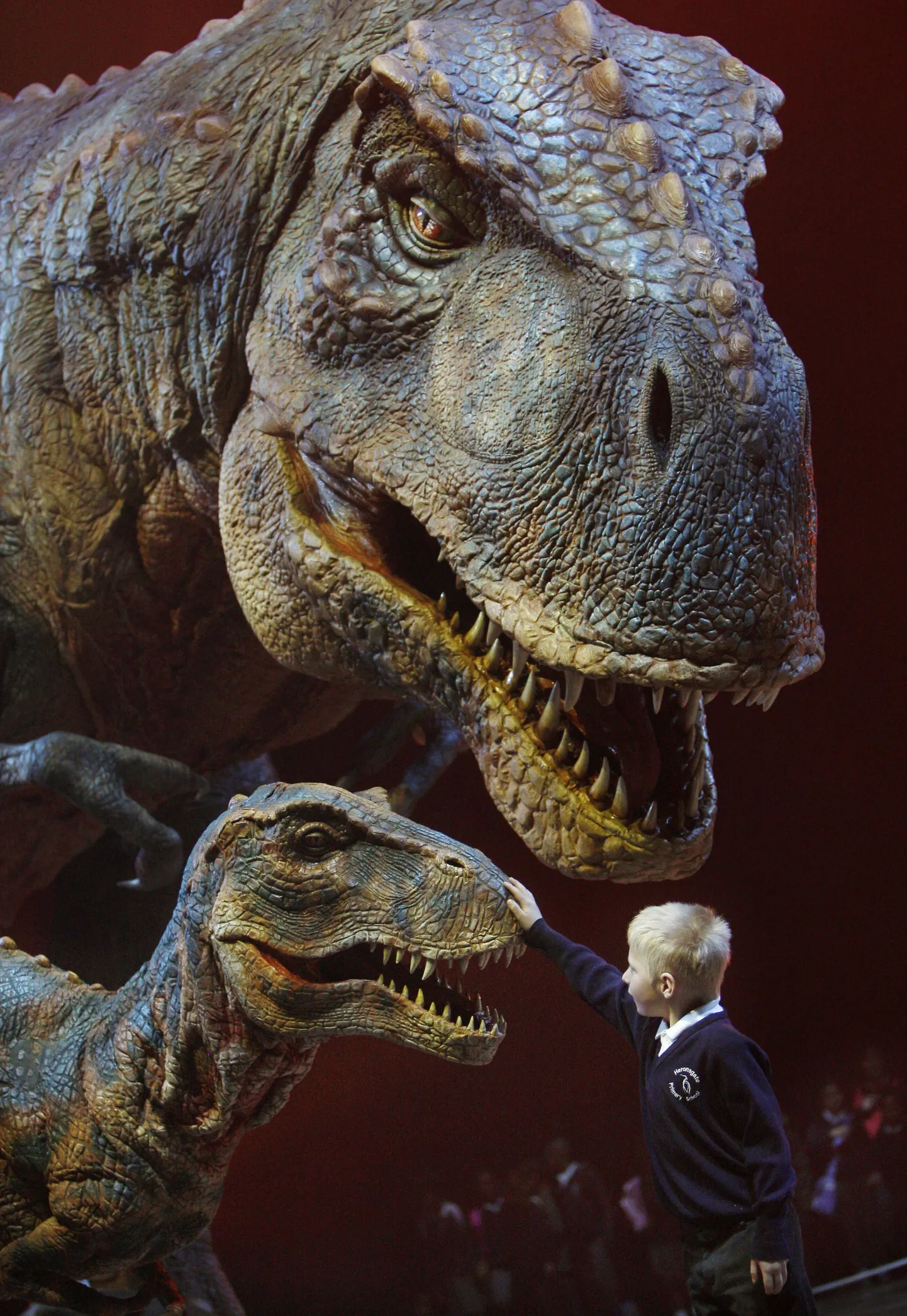 Tyrannosaurus rex`i rekonstruktsioon