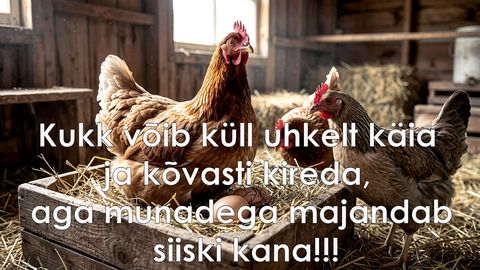 Kuke kõva kiremine