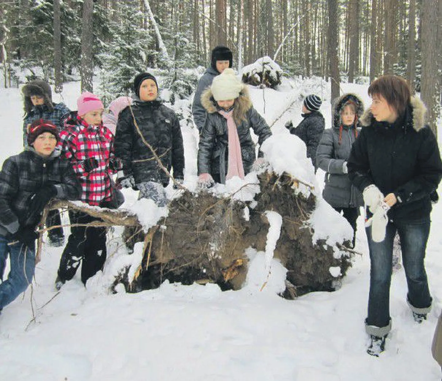 В рамках проекта «Друзья» дети из школ Ида-Вирумаа и Таллинна побывали в одном из живописнейших природных уголков Эстонии — Паннъярве.