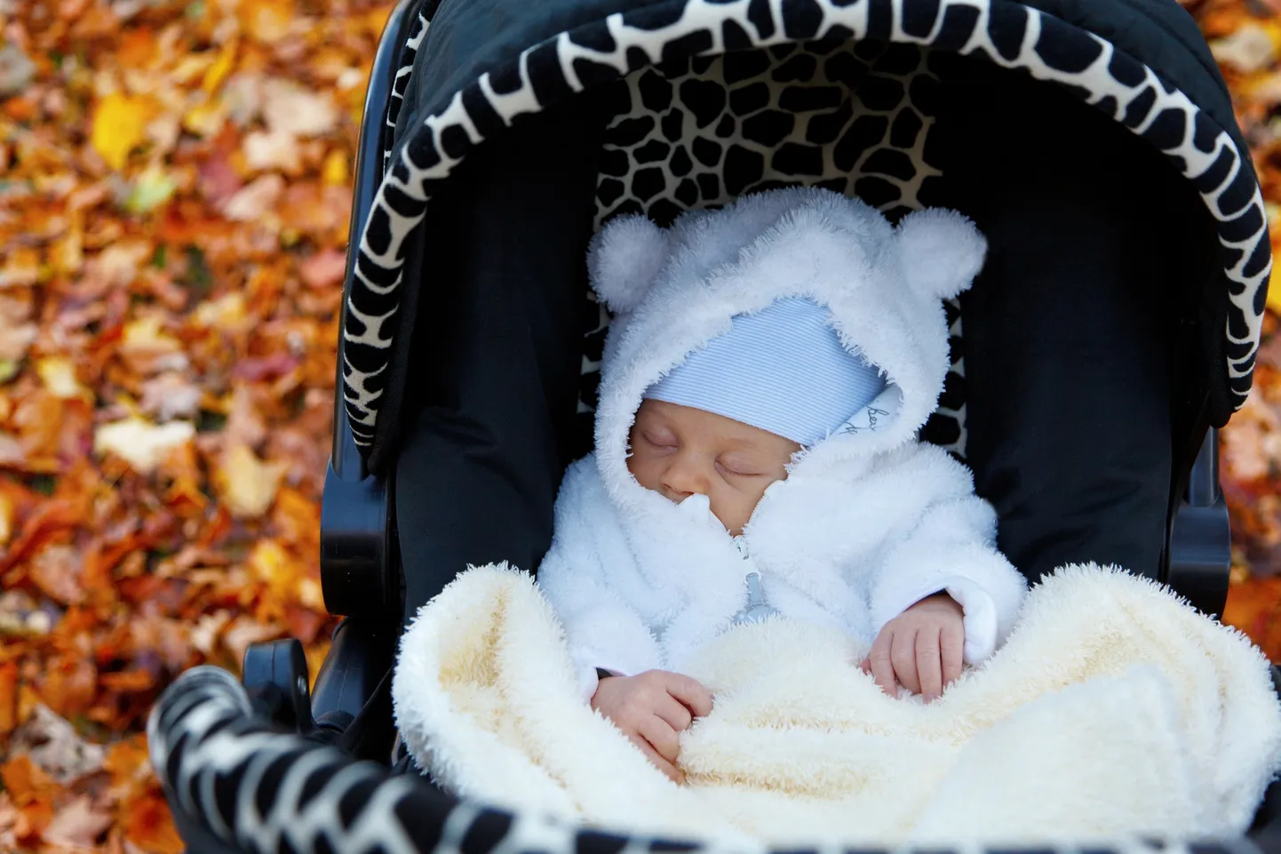 Фото статьи