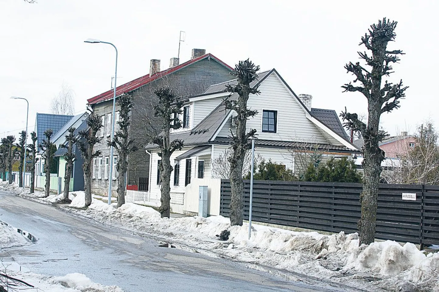 Artikli foto