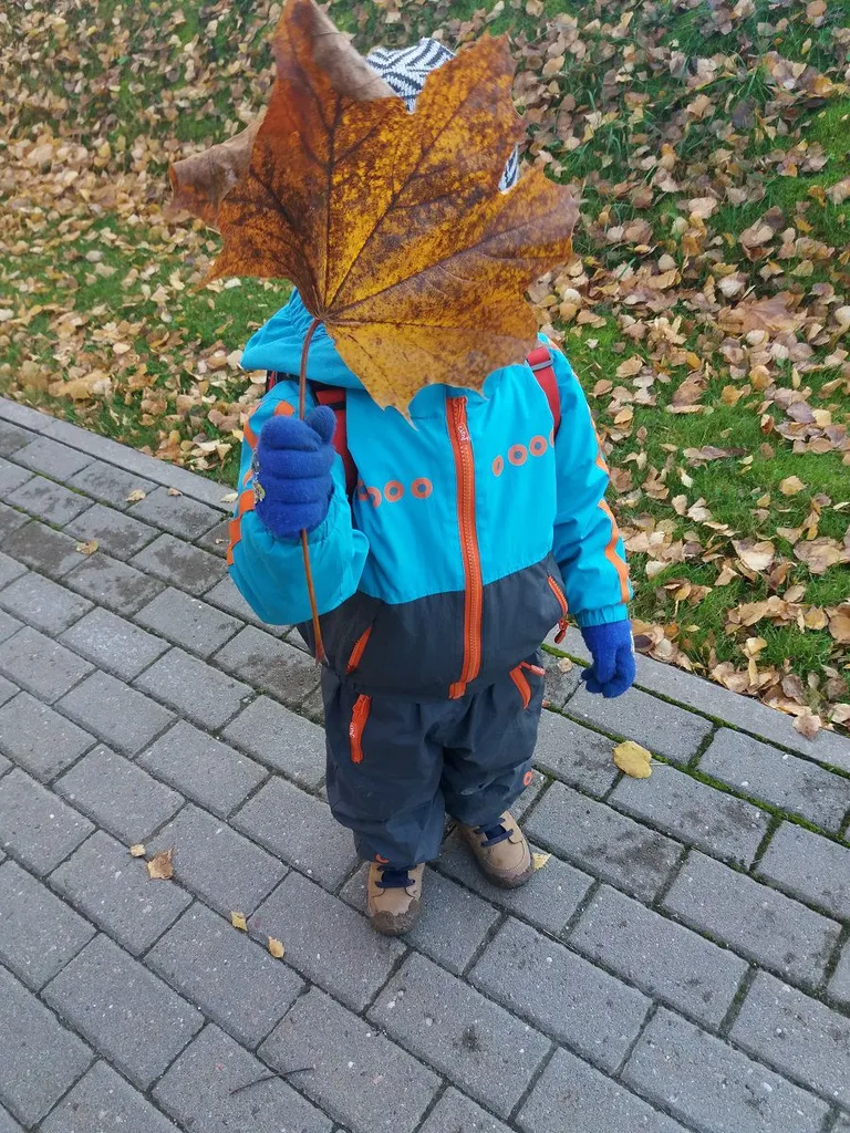 Ebatavaliselt suur vahtraleht. FOTO: Erakogu