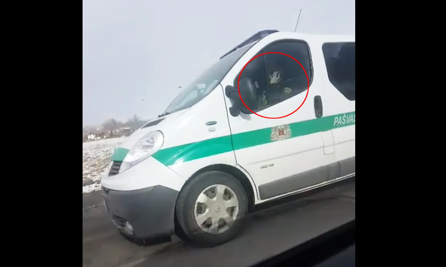 Фото статьи