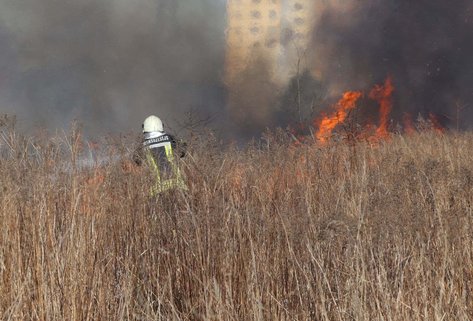 Пожар прошлогодней травы на улице Улборкас в Риге. Иллюстративное фото
