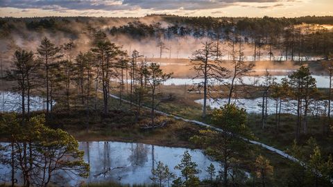 Государство выделит 18 миллионов евро на адаптацию природы и жителей Эстонии к изменениям климата