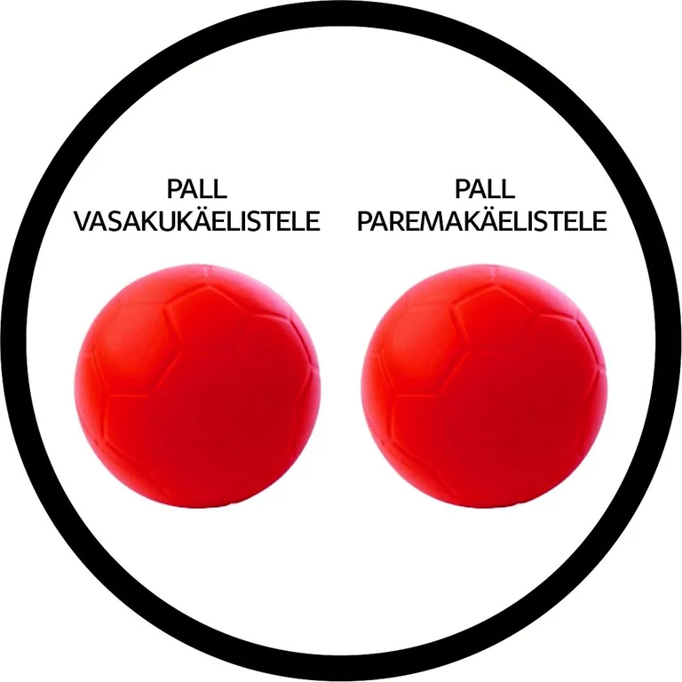 Artikli foto