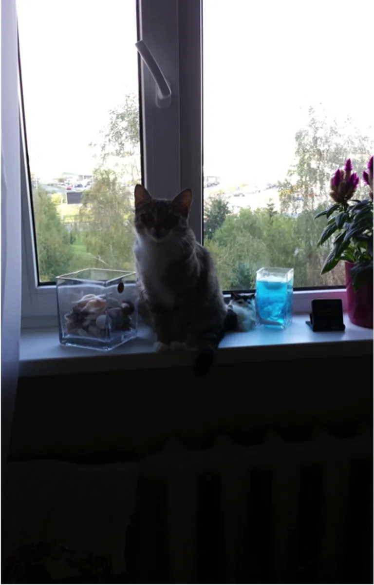 Poseeritud pilt. Foto: