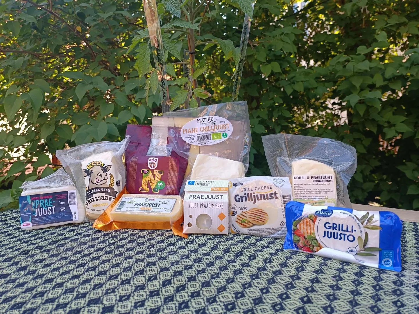 Valikusse sai üheksa grill- või praejuustu: 3 suurtootjatelt ja 6 väiketootjatelt.