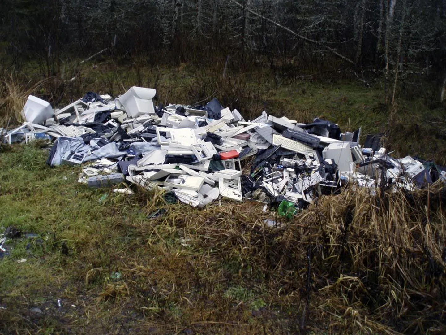 Koormatäis arvutiprügi on Lilli lähedal metsas. Kes selle sinna viis, pole teada. Selge on vaid see, et arvutid kuulusid varem Viljandi vanglale.