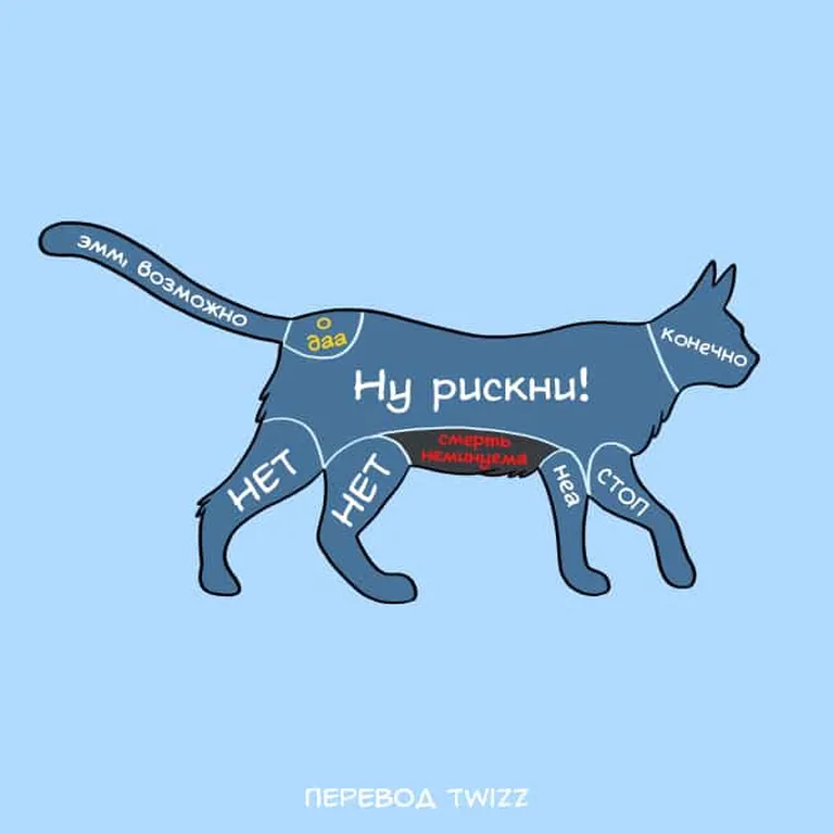 Фото статьи