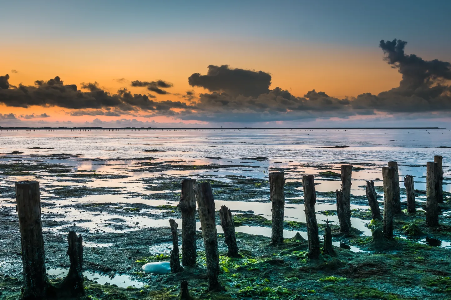 Waddeni meri, mis on osa Põhjamerest ning mis piirneb Saksamaa, Taani ja Hollandiga