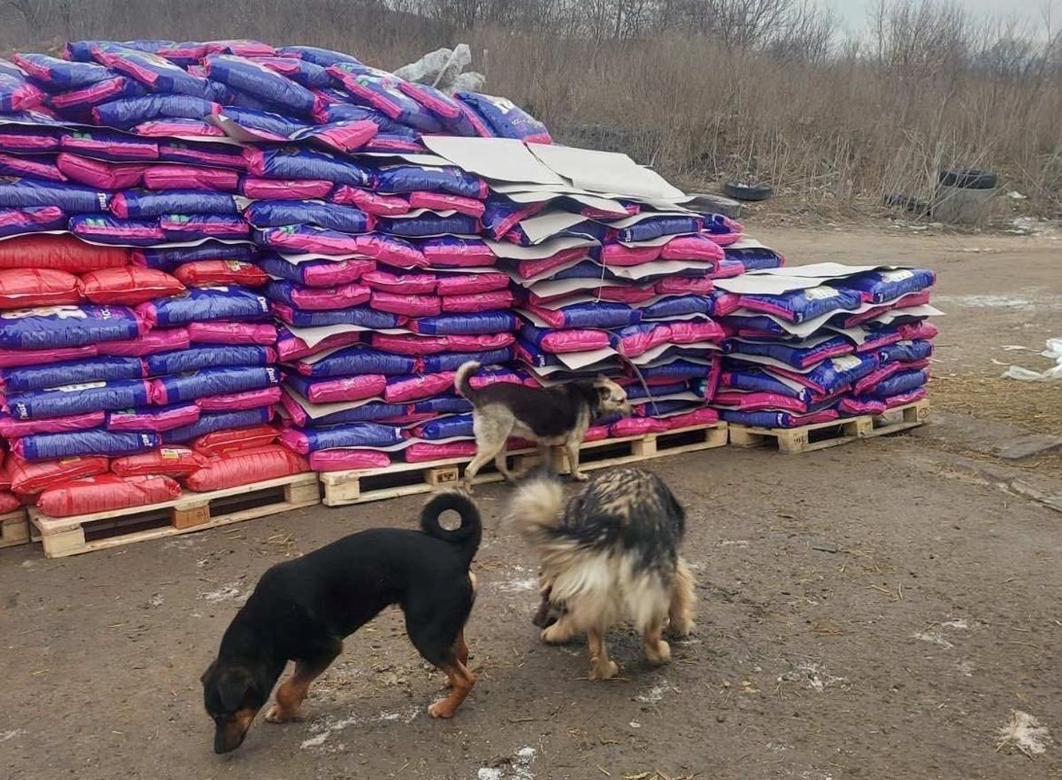 Esimene 20 tonni kaaluv toidusaadetis jõudis Kiievi lähistel asuvasse varju­paika pühapäeval.