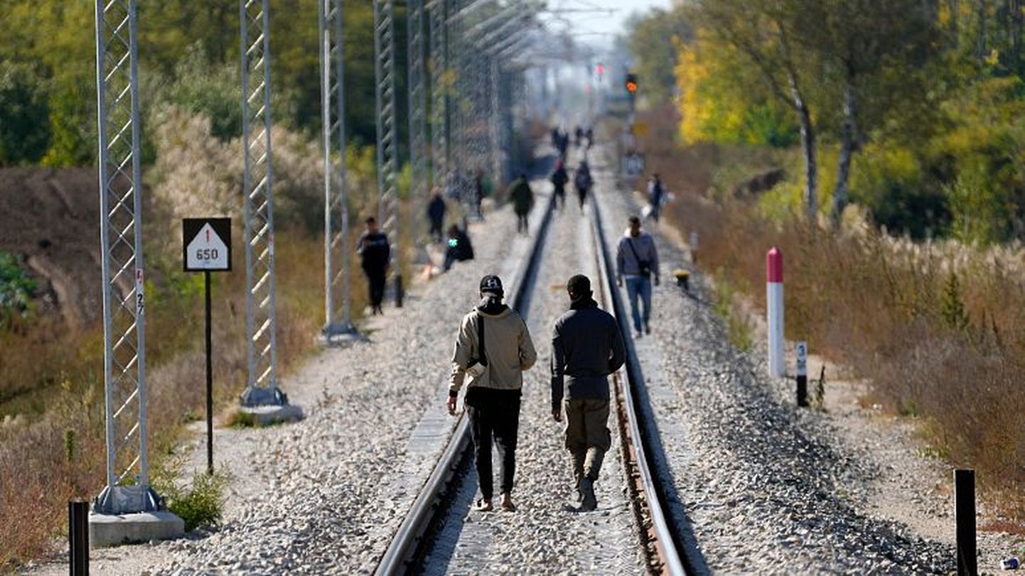 Мигранты на железнодорожных путях у границы Сербии и Венгрии, по середине так называемого "Балканского маршрута".