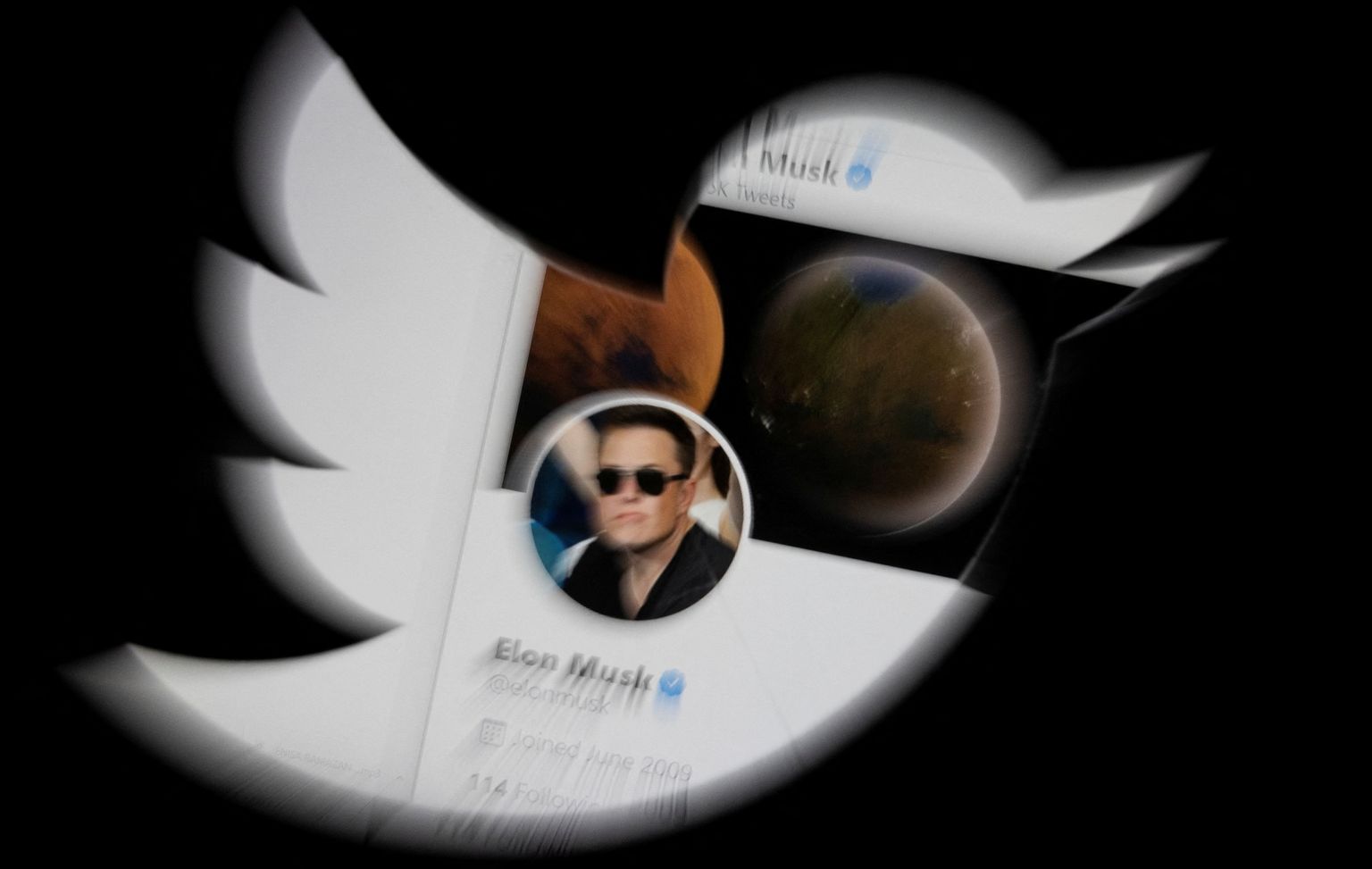 Elon Muski Twitteri konto fotoga ja Twitteri logo
