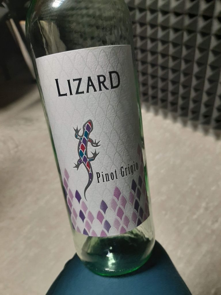 Päevapokaal 1: Saksamaalt pärit Lizard Pinot Grigio nimega Lizard, üks kahest veinist.