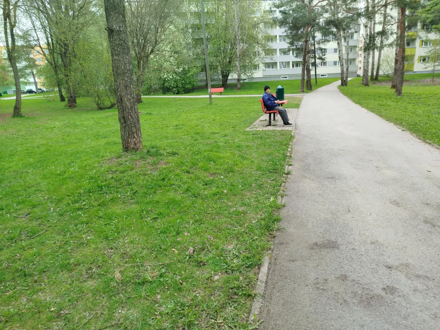 Парк Мыйзавахе, в котором произошло нападение.