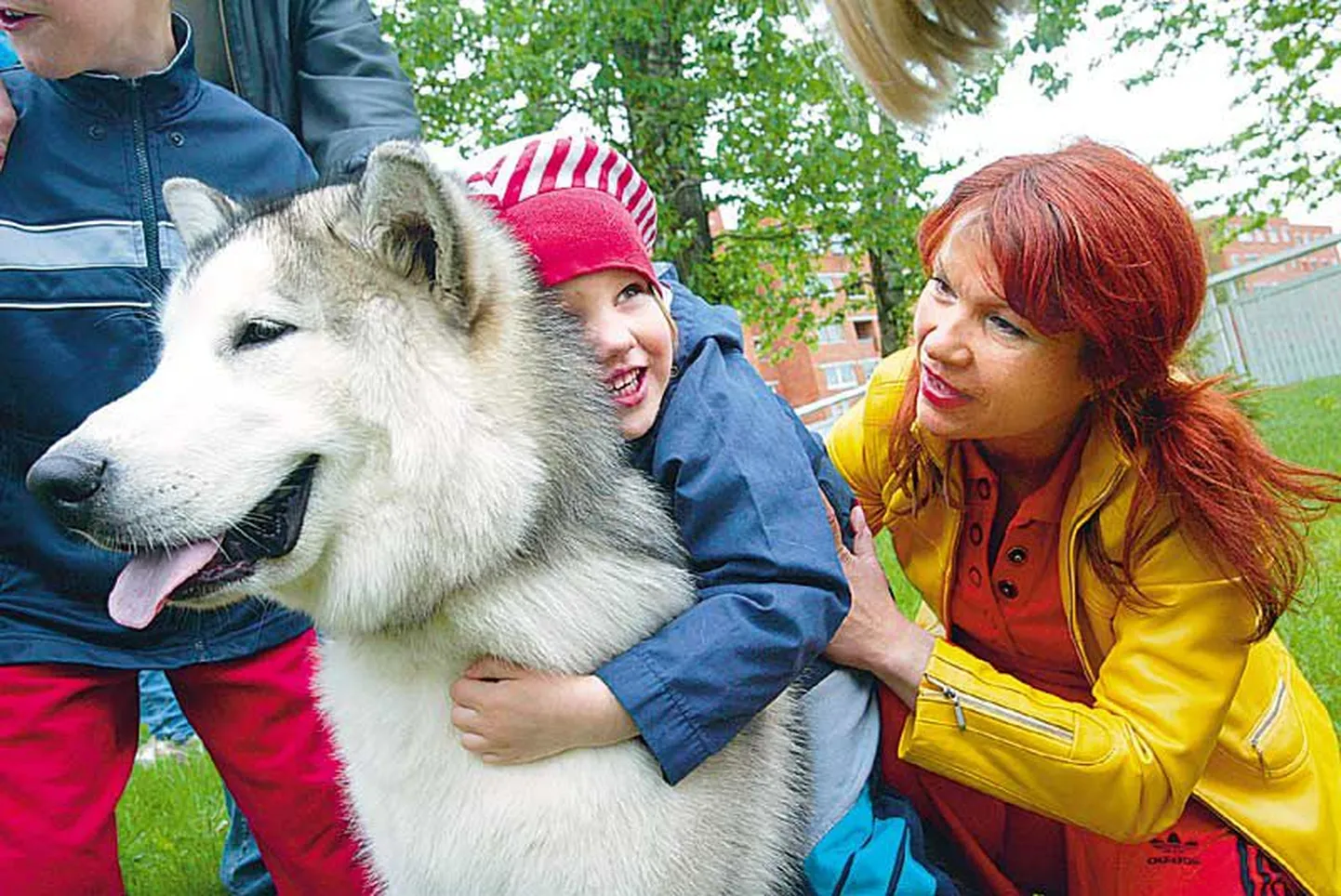 Фото иллюстративное.