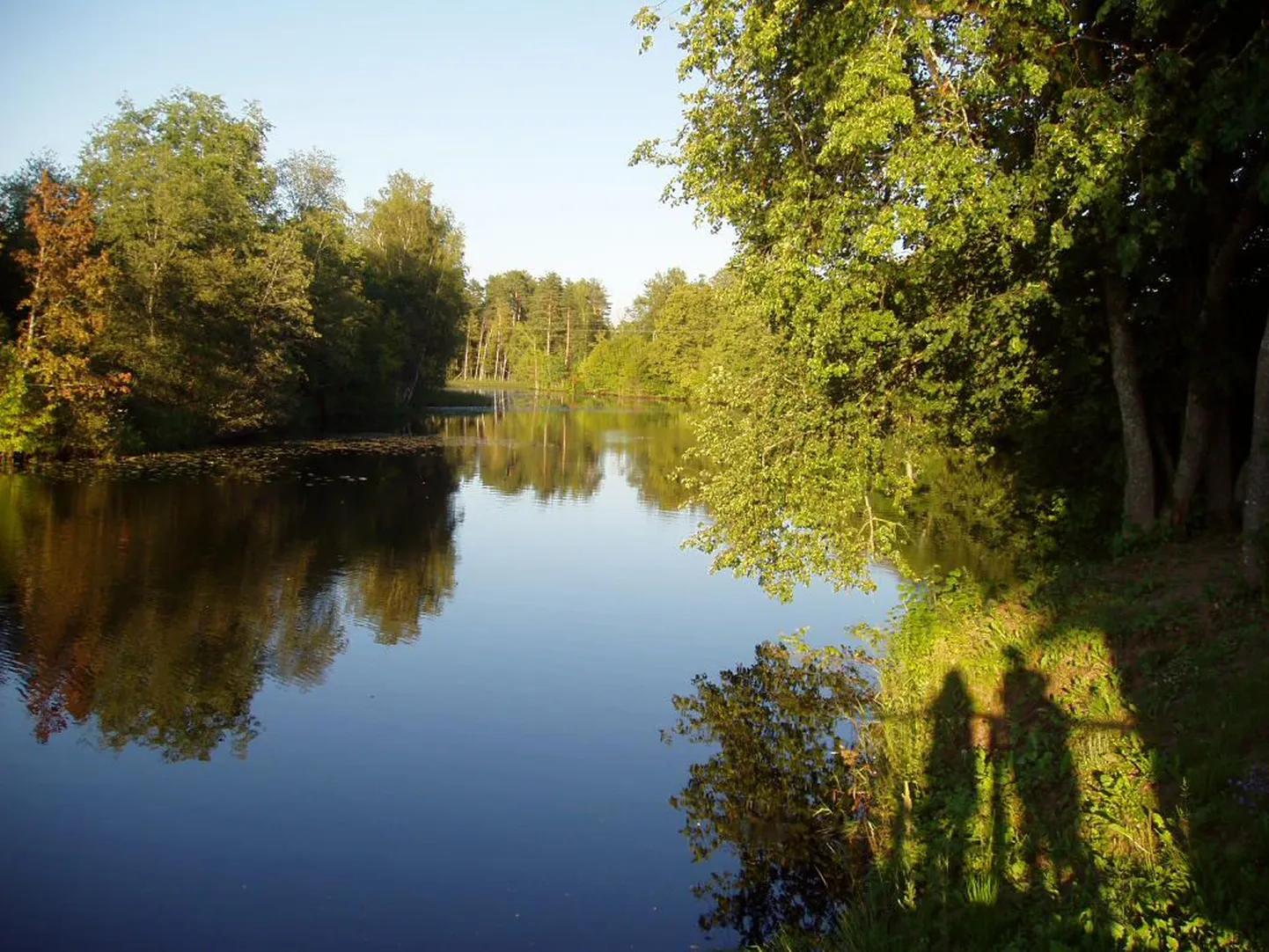 Veelikse järv.