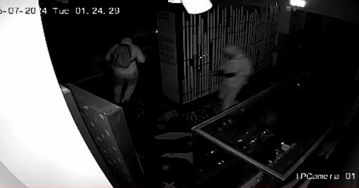 Elektritõuksidel kaagid pätsasid muuseumist 3000 aastat vana kulda