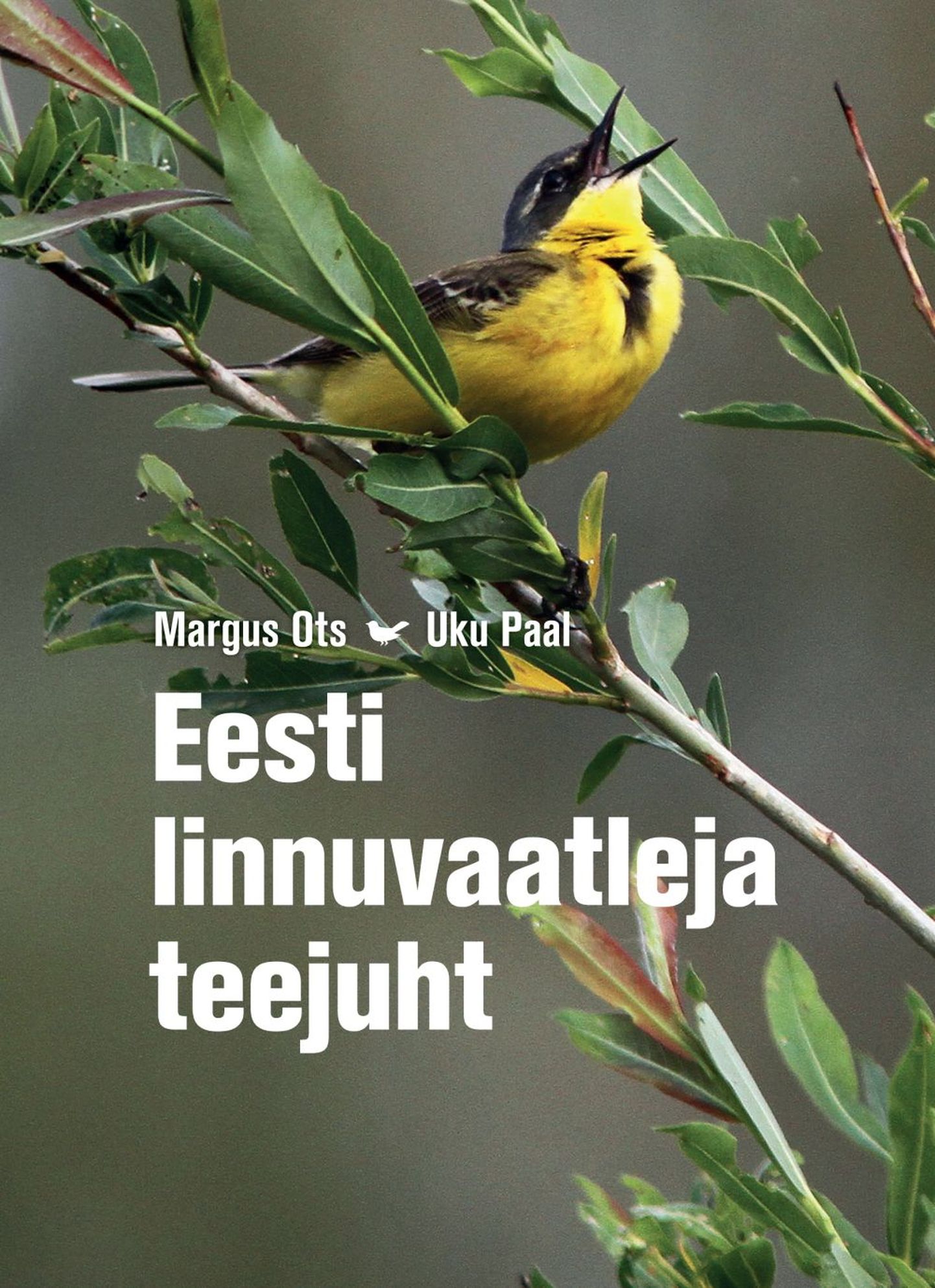 Margus Otsa ja Uku Paali koostatud «Eesti linnuvaatleja teejuht»