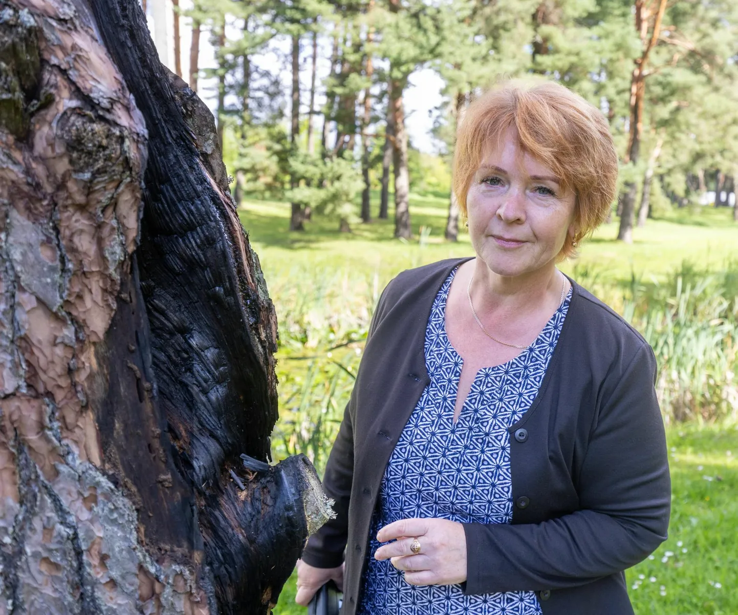 Viljandi Linnahoolduse juhataja Koidu Ilisson andis linnavalitsusele teada, et lahkub ametist. 