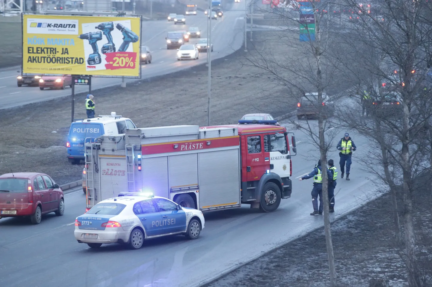 Laagna teele eksinud põder.