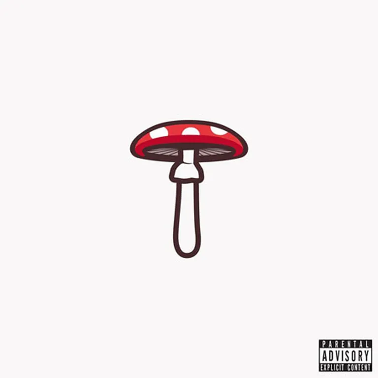 «The Mushroom Music Vol.3»